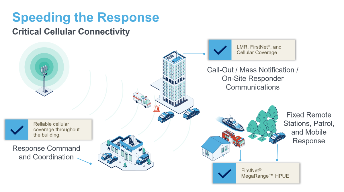Diagram of critical cellular connectivity